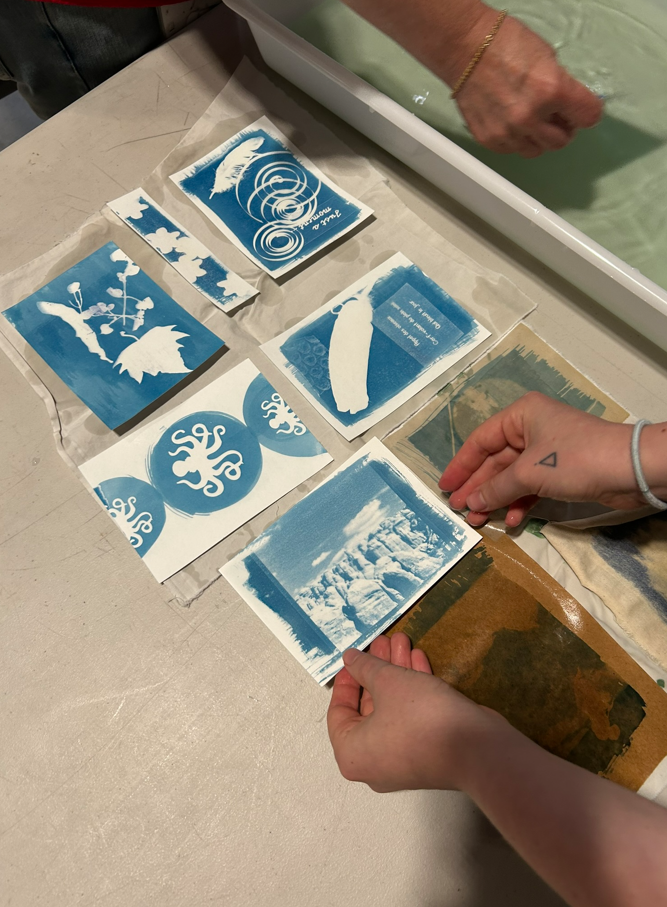 Atelier cyanotype